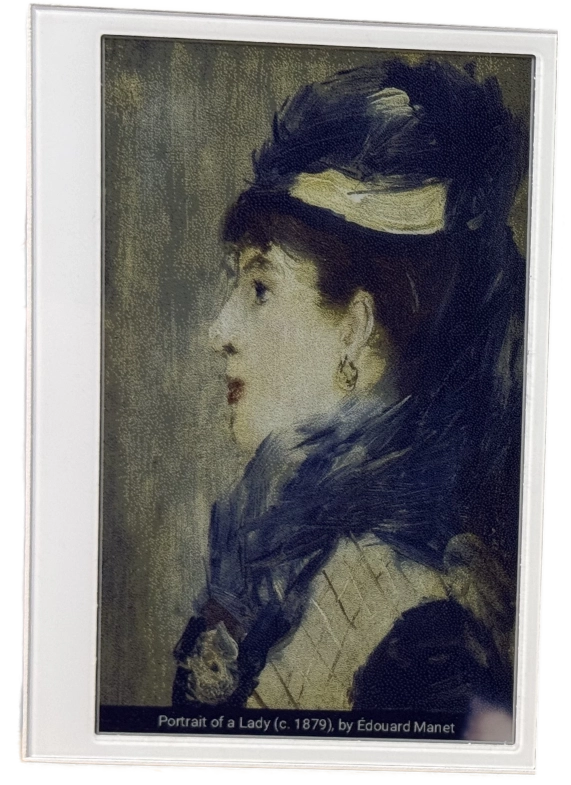 Živý obraz s dílem Portrait of a Lady