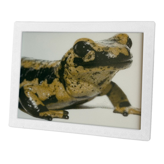 SVERIO PaperBoard tříbarevný 5.83" GDEW0583C64 - obrázek 2